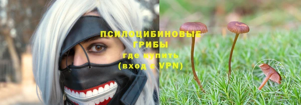 шишки Богородицк